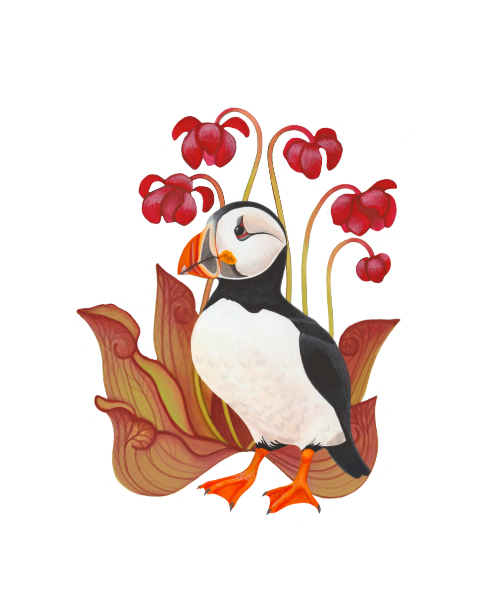 Newfoundland & Labrador