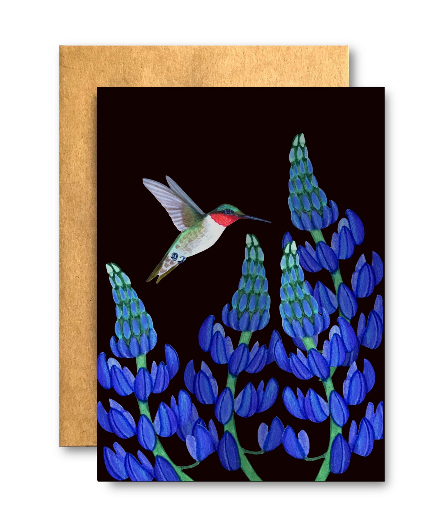 Hummingbird in Lupins #1
