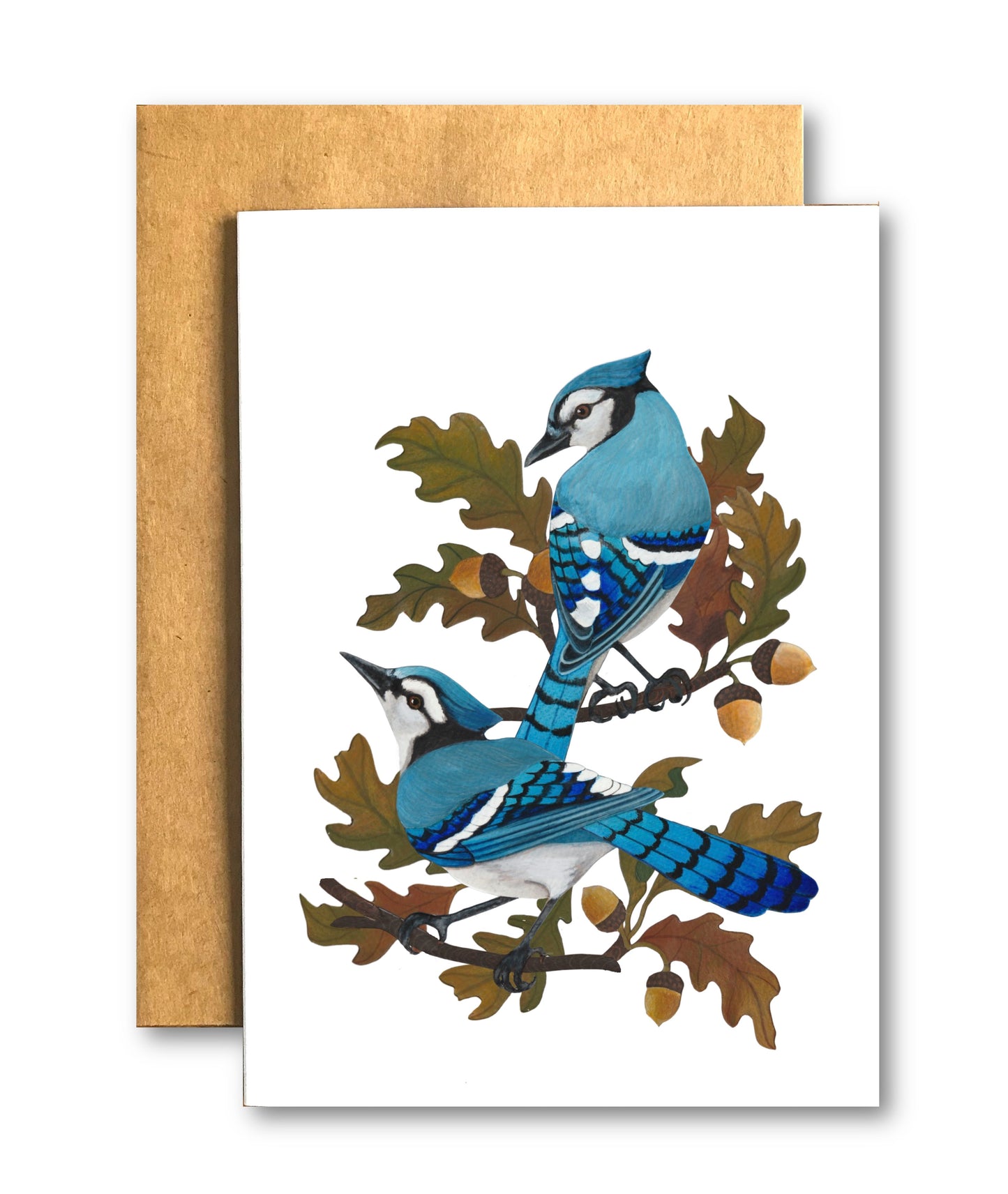 Bluejays in Oak