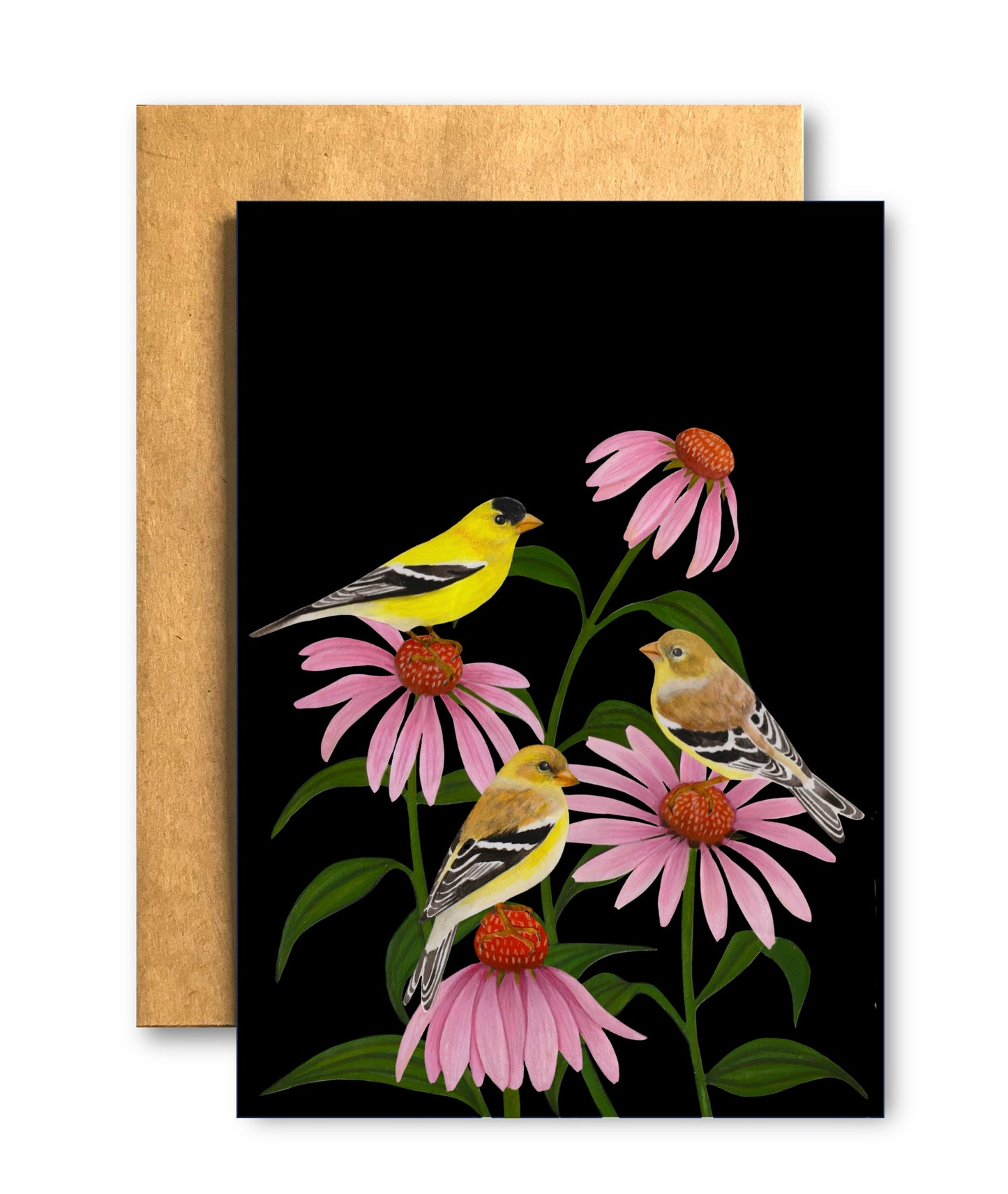 Goldfinches in Coneflower #1