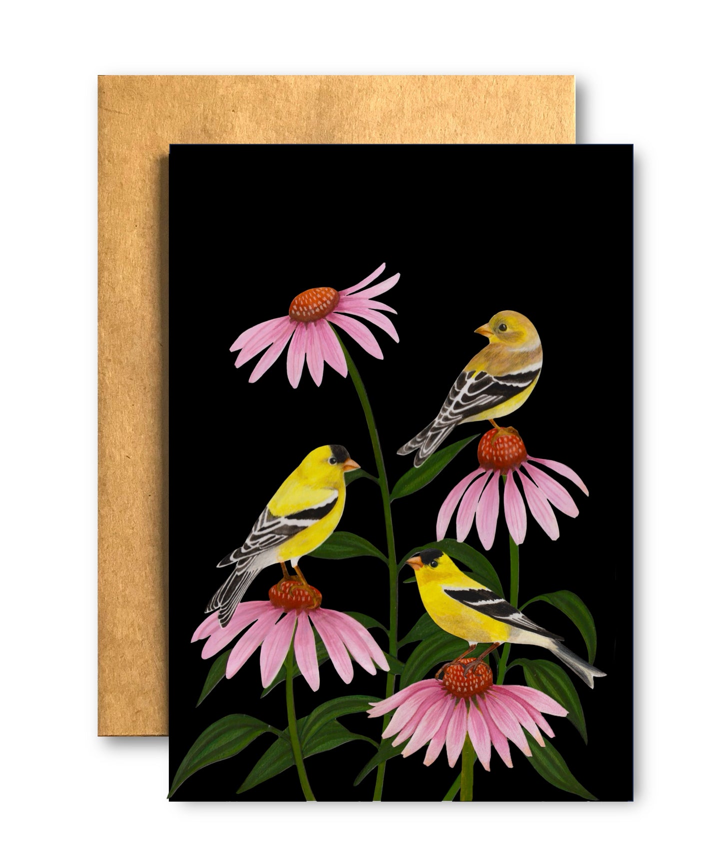 Goldfinches in Coneflower #2