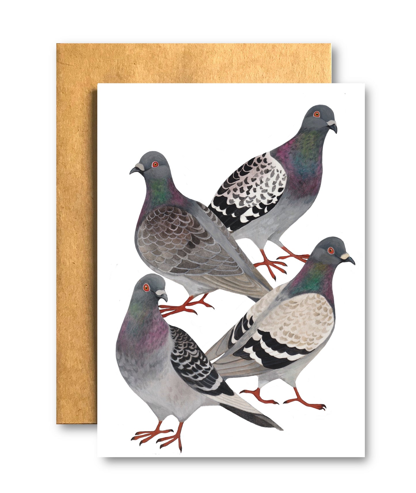 City Pigeons