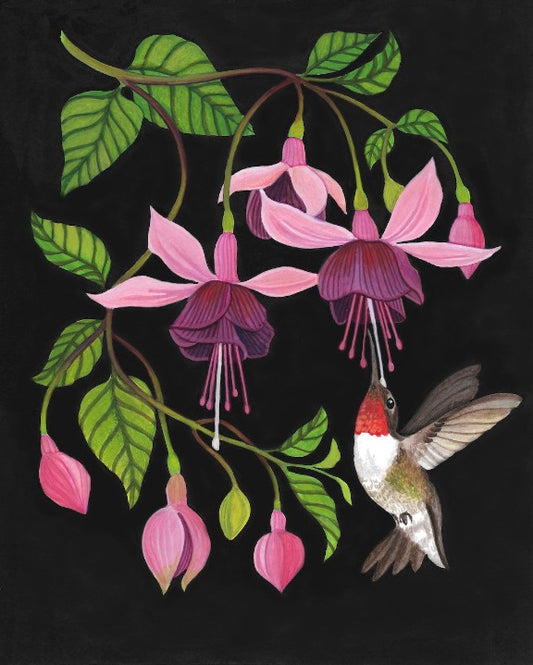 Fuchsia