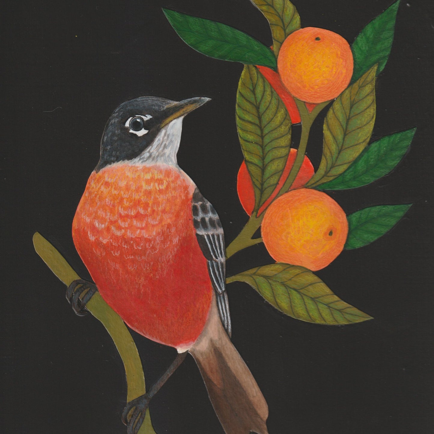 Robin #1