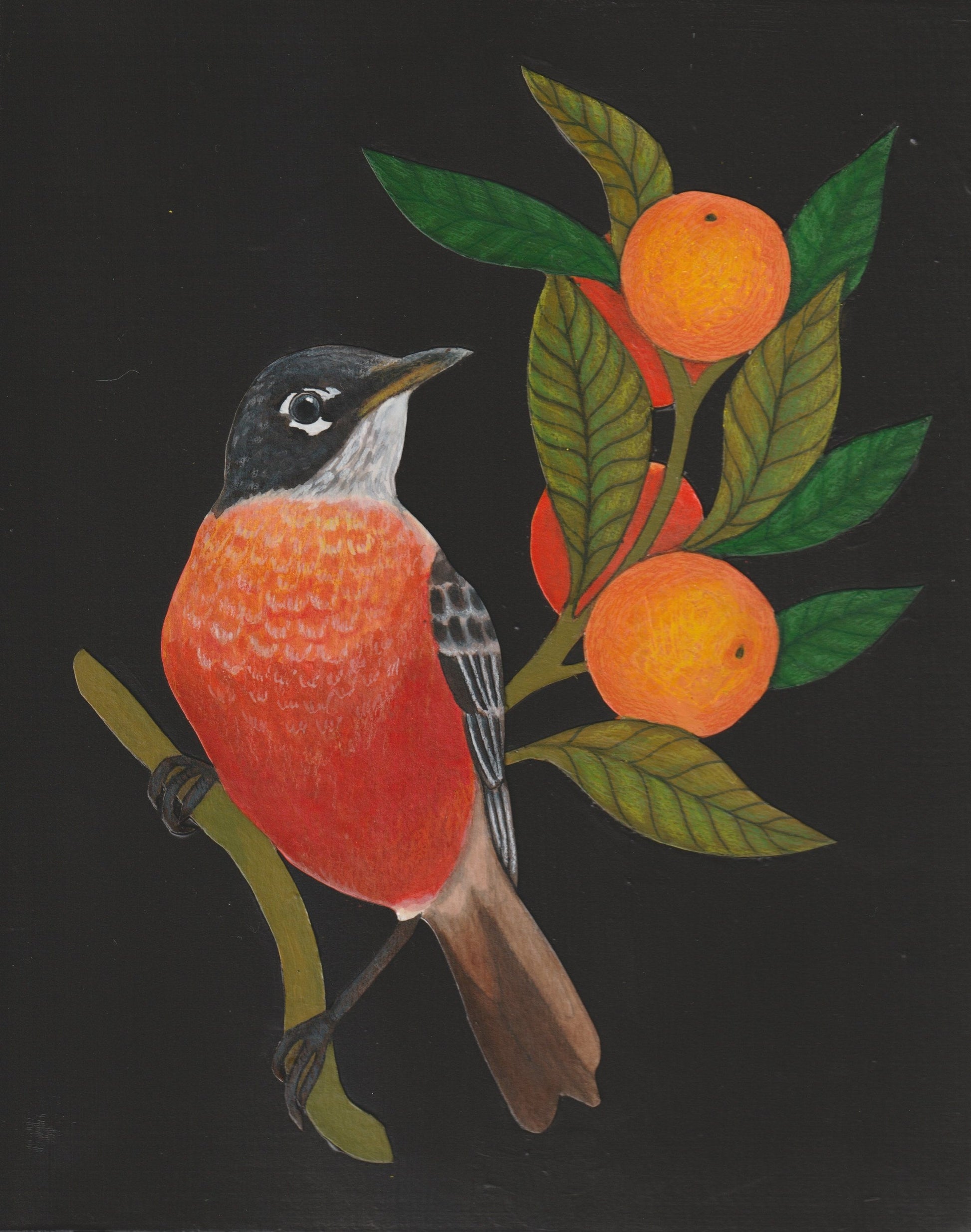Robin #1